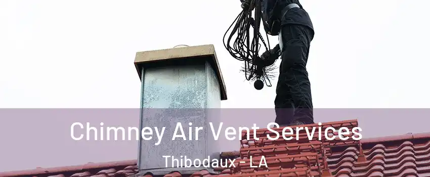  Chimney Air Vent Services Thibodaux - LA