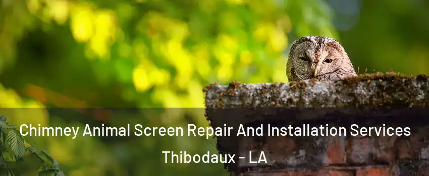  Chimney Animal Screen Repair And Installation Services Thibodaux - LA