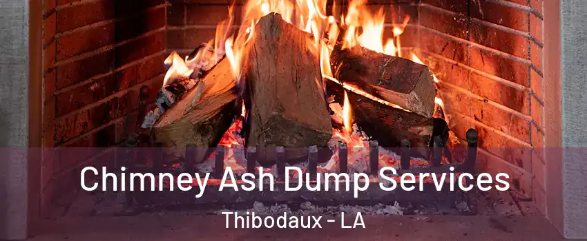  Chimney Ash Dump Services Thibodaux - LA