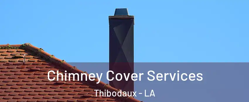  Chimney Cover Services Thibodaux - LA