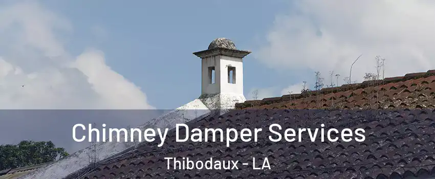  Chimney Damper Services Thibodaux - LA