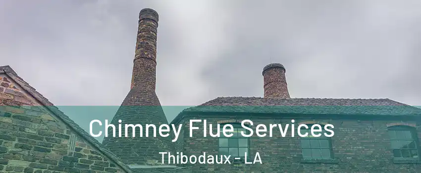  Chimney Flue Services Thibodaux - LA