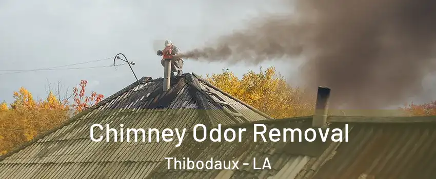  Chimney Odor Removal Thibodaux - LA