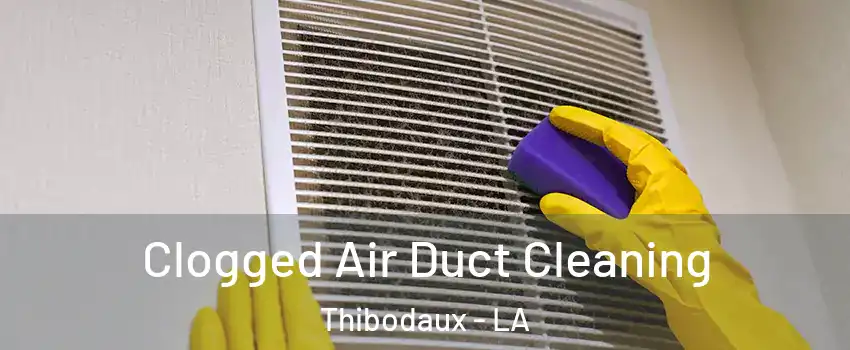  Clogged Air Duct Cleaning Thibodaux - LA