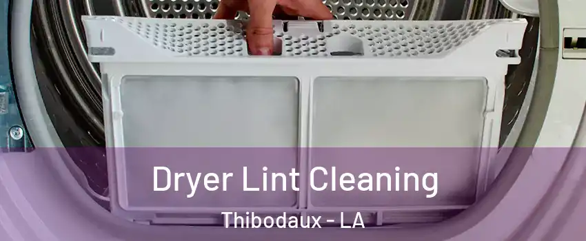  Dryer Lint Cleaning Thibodaux - LA