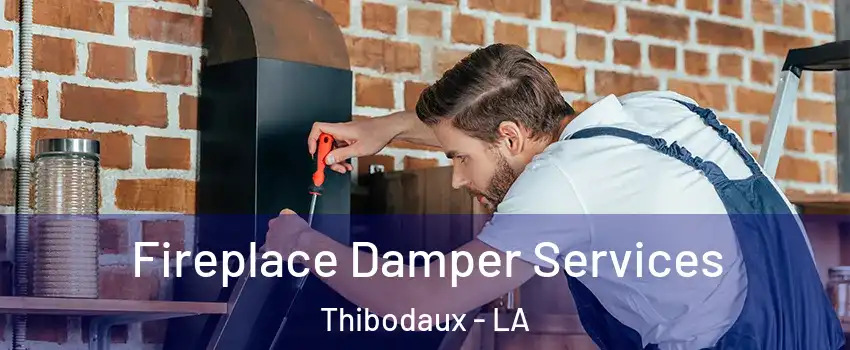  Fireplace Damper Services Thibodaux - LA