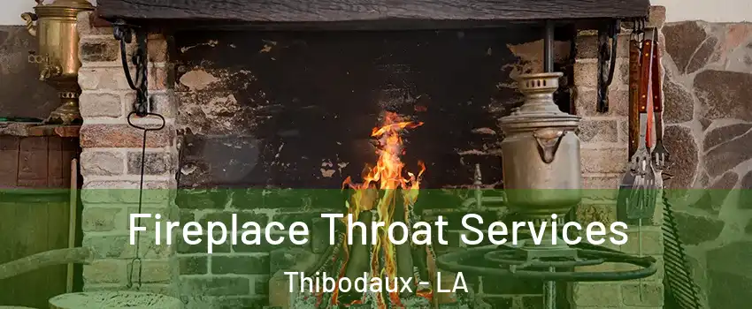  Fireplace Throat Services Thibodaux - LA
