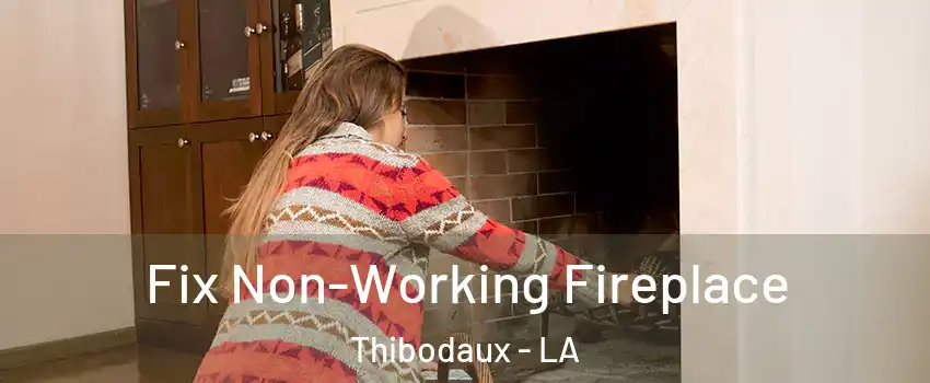  Fix Non-Working Fireplace Thibodaux - LA