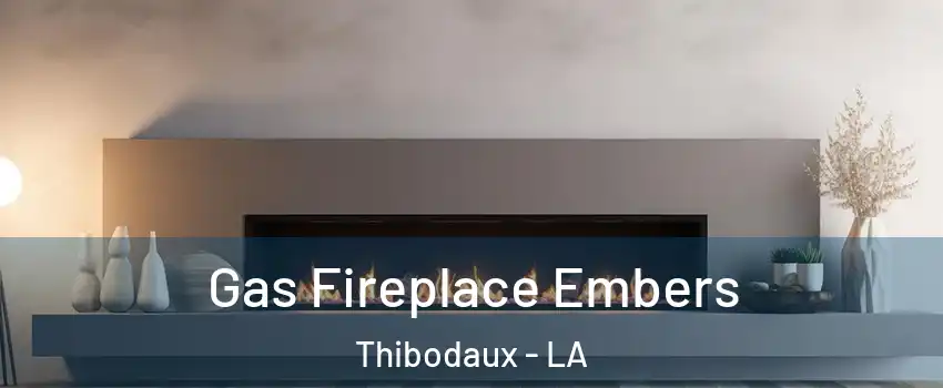  Gas Fireplace Embers Thibodaux - LA