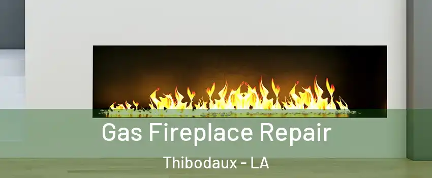 Gas Fireplace Repair Thibodaux - LA