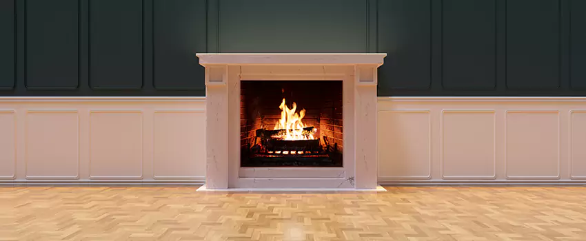 Napoleon Electric Fireplaces Inspection Service in Thibodaux, Louisiana