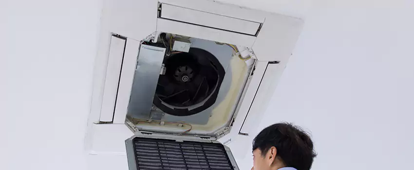 Benefits of Professional Air Duct Cleaning in Thibodaux, Louisiana