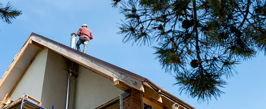 Birds Removal Contractors from Chimney in Thibodaux, LA