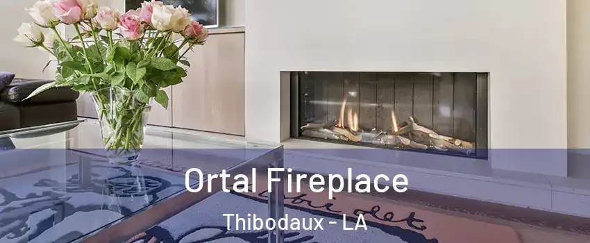  Ortal Fireplace Thibodaux - LA