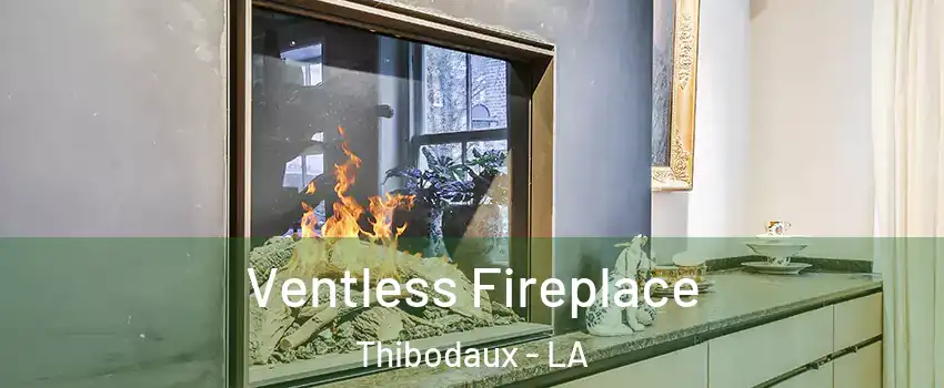  Ventless Fireplace Thibodaux - LA